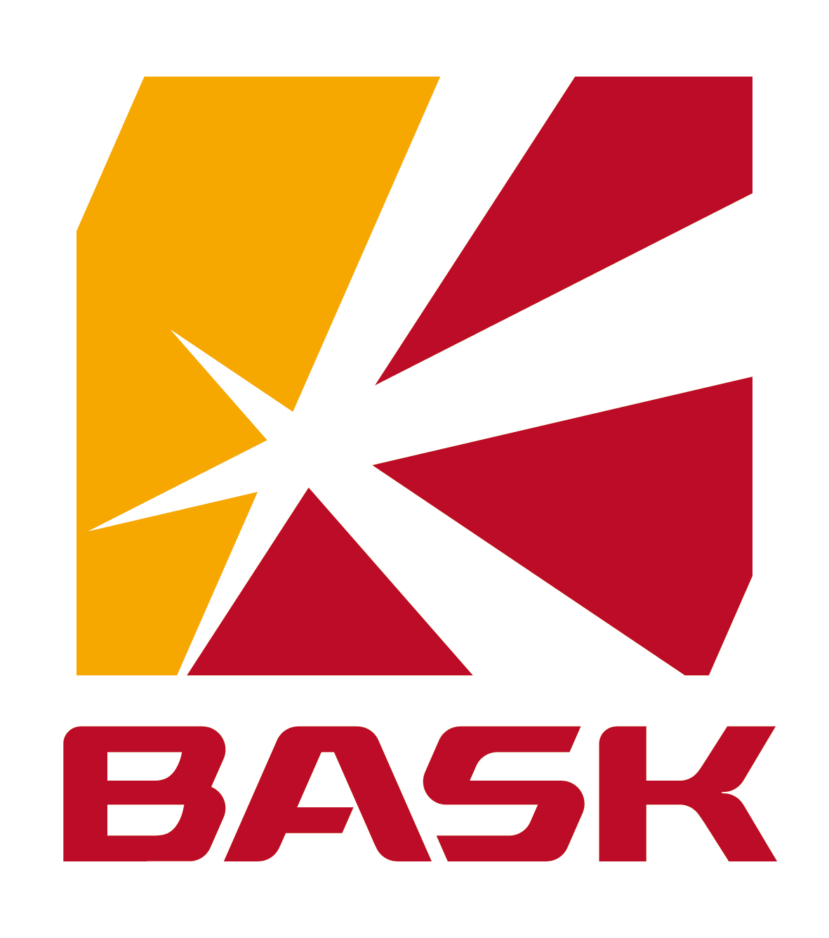 Компания Bask